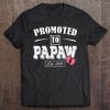 Promoted to papaw est 2019 shirt