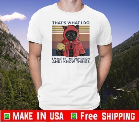 Funny That’s What I Do I Master The Dungeon And I Know Things Vintage 2020 T-Shirt