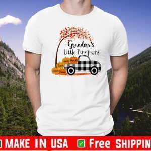 Autumn Grandma’s little pumpkins Jessica Ethan Rose Henry Hannah 2020 T-Shirt