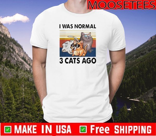 Vintage I Was Normal 3 Cats Ago T-Shirt