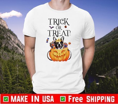 French Bulldog pumpkin trick or treat Halloween Shirt Gift fOR Mens Womens And Kids For Holiday Halloween