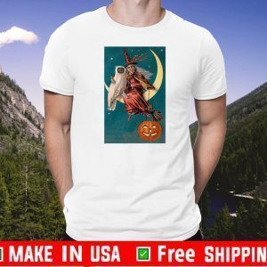 Halloween Owl Witch Pumpkin Moon Custom US T-Shirt