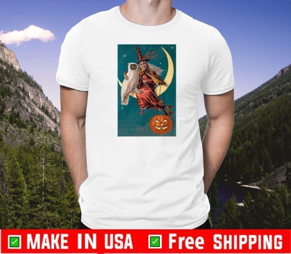 Halloween Owl Witch Pumpkin Moon Custom US T-Shirt