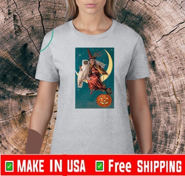 Halloween Owl Witch Pumpkin Moon Custom US T-Shirt