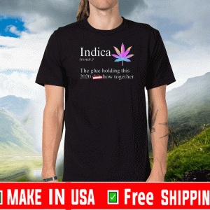 Indica The Glue Holding This 2020 Shitshow Together Tee Shirts