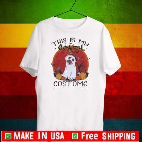 Premium Halloween Yorkie This Is My Scary Costome 2020 T-Shirt