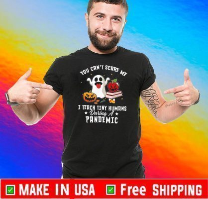 You Can’t Scare Me I Teach Tiny Humans During Pandemic TShirt