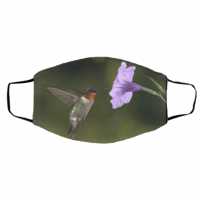 Hummingbirds Face Mask