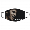 Face Masks Elvis Presley