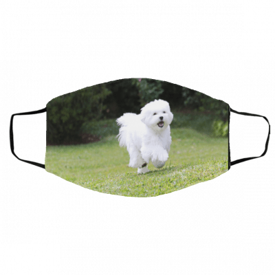 Maltese Scratch Face Maskk