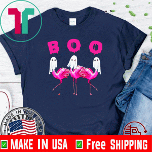 Flamingo Boo Halloween Funny 2020 T-Shirt