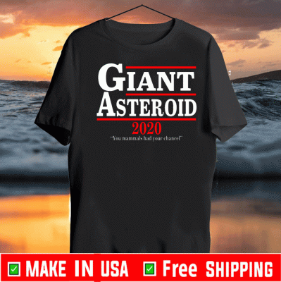 Giant Asteroid 2020 Unisex T-Shirt