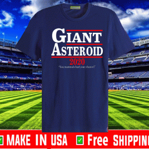 Giant Asteroid 2020 Unisex T-Shirt