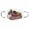 Quad Cities River Bandits Face Mask