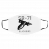 Sr-7-1 Blackbird Face Mask