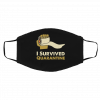 I S-urv-ve-d Qu-ar-ant-in-e Face Mask