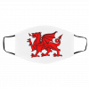 W-e-lsh D-ra-g-on Face Mask