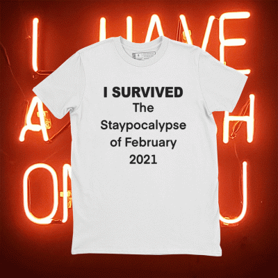 I Survived The Staypocalypse of February 2021 Tee Shirt