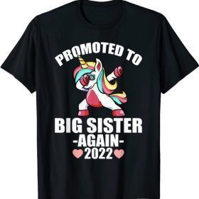Promoted To Big Sister Again 2022 Shirt, Big Sister Again T-Shirt