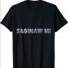 Saginaw Bird's Eye View 2 T-Shirt