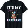 funny It's my birthday confetti, birthday cake and streamer T-Shirt