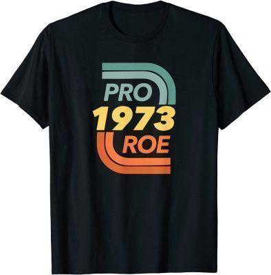 2021 Reproductive rights pro choice roe vs wade Shirt T-Shirt