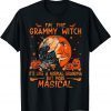 I'm The Grammy Witch It's Like A Normal Grandma T-Shirt