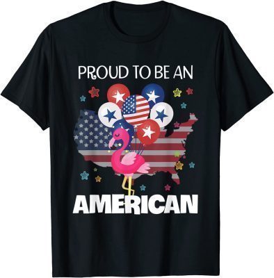 Funny Proud To American Flag T-Shirt
