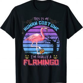 This Is My Human Costume I'm Really A Flamingo Halloween Tee T-Shirt