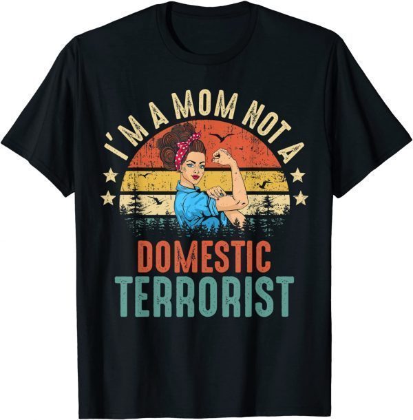 Classic I'm a mom not a domestic terrorist vintage rainbow decor T-Shirt