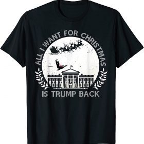 All I Want For Christmas Is Trump Back and New President 2021 T-Shirt
