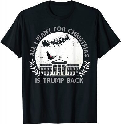 All I Want For Christmas Is Trump Back and New President 2021 T-Shirt
