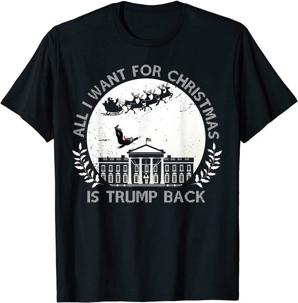 All I Want For Christmas Is Trump Back and New President 2021 T-Shirt