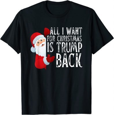 T-Shirt All I Want Christmas Is Trump Back And New President