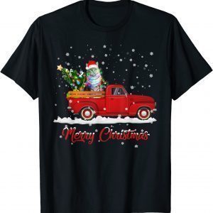 Cats Animal Riding Red Truck Christmas Gift Tee Shirt