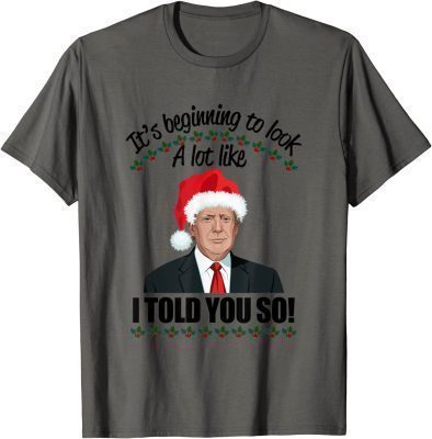 It's Beginning To Look A Lot Like I Told You So Apparel Gift T-Shirt