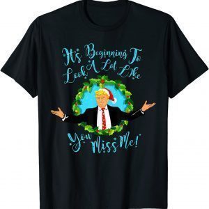 Trump It's Beginning To Look A Lot Like You Miss Me Xmas Gift T-Shirt