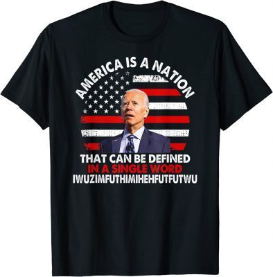 T-Shirt America Is A Nation That Can Be Defined In Single Word Biden