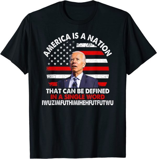 T-Shirt America Is A Nation That Can Be Defined In Single Word Biden