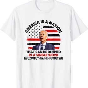 America Is A Nation That Can Be Defined In Single Word Biden Classic TShirt