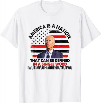 America Is A Nation That Can Be Defined In Single Word Biden Classic TShirt