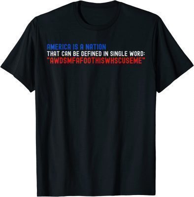 Vintage America Is A Nation That Can Be Defined In Single Word Biden T-Shirt