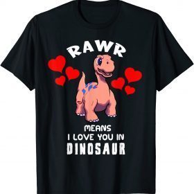 Rawr Means I Love You In Dinosaur Gift Tee Shirts