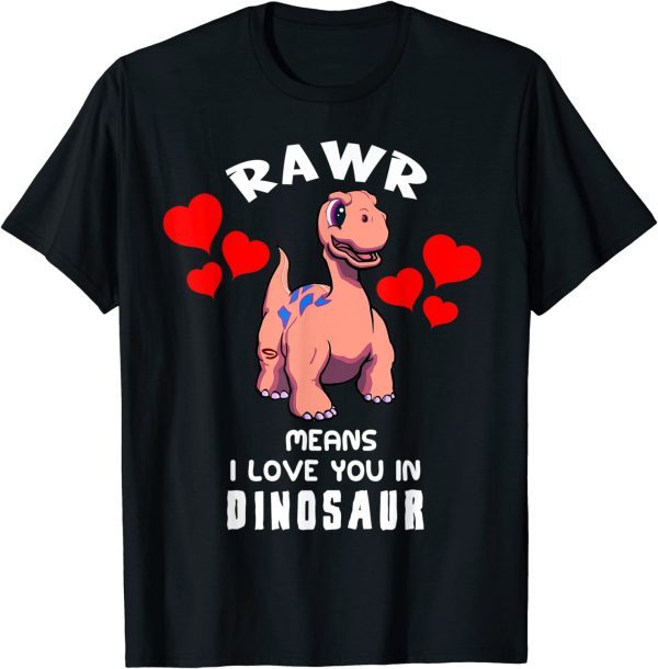 Rawr Means I Love You In Dinosaur Gift Tee Shirts