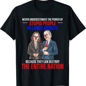 Never Underestimate The Power Of People in Large Group Funny T-Shirt