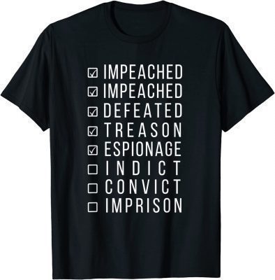 MAR A LAGO FBI RAID, ANTI TRUMP TREASON 2023 SHIRTS