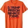Funny Halloween Trump Prisoner Party Costume T-Shirt