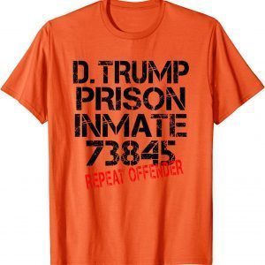 Funny Halloween Trump Prisoner Party Costume T-Shirt