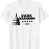 Dark Brandon is Rising Dark Brandon Rises Pro Biden USA Flag 2022 T-Shirt
