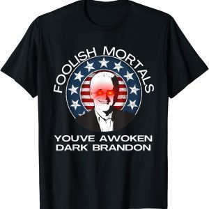 Dark Brandon Rising Saving America Funny Liberal Pro Biden Vintage T-Shirt